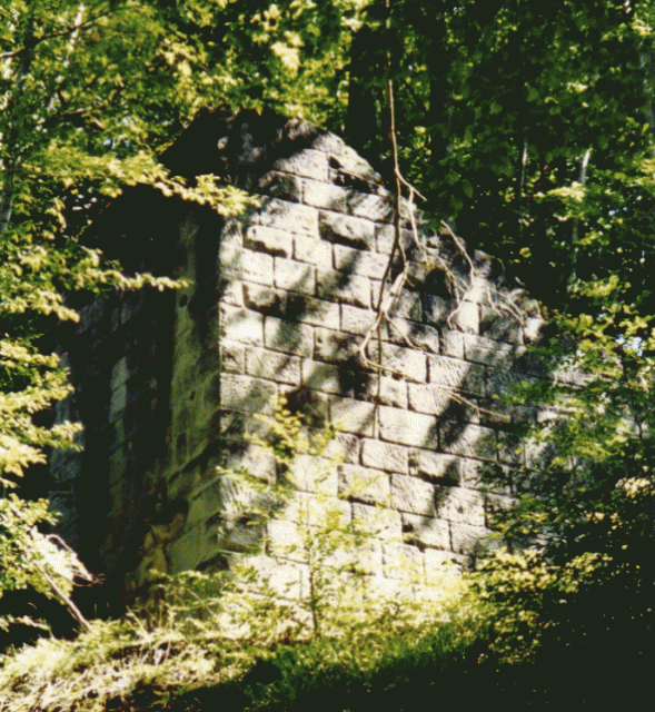Ruine Neu-Bubenberg (Köniz)