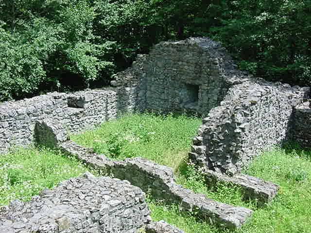 Weissenau Castle (Ruin) (Unterseen)