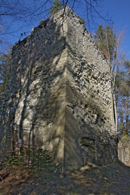 Obermaggenberg Castle (Ruin) (Alterswil)