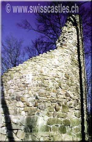 Bossonnens Castle (Ruin)