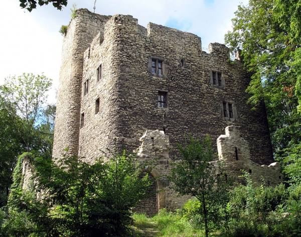 Ehrenburg Castle (Ruin) (Plaue)