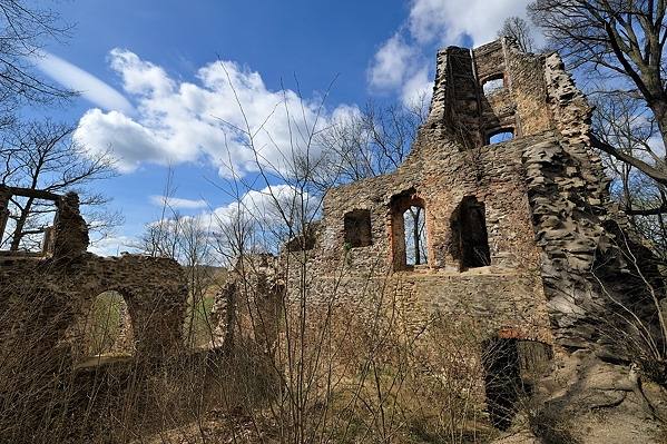 Ruine Liebau