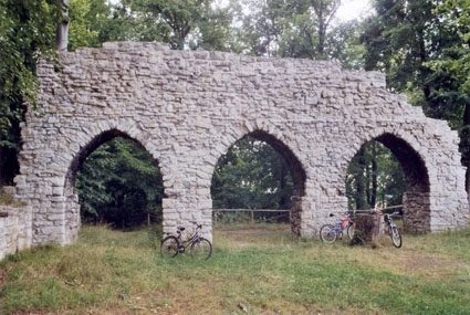 Ruine Arnsburg (Seega)