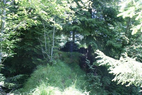 Bürg Castle (Ruin) (Frutigen)