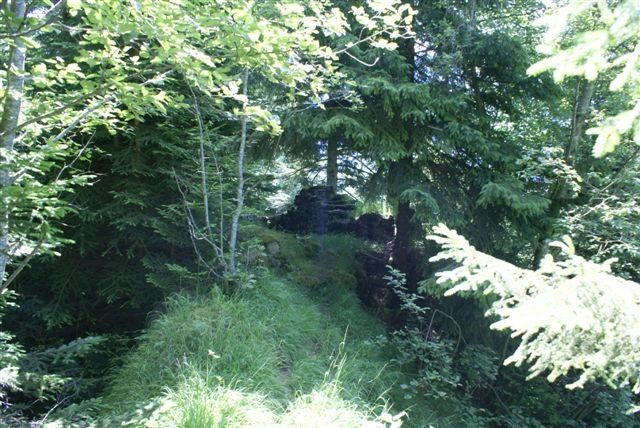 Bürg Castle (Ruin) (Frutigen)