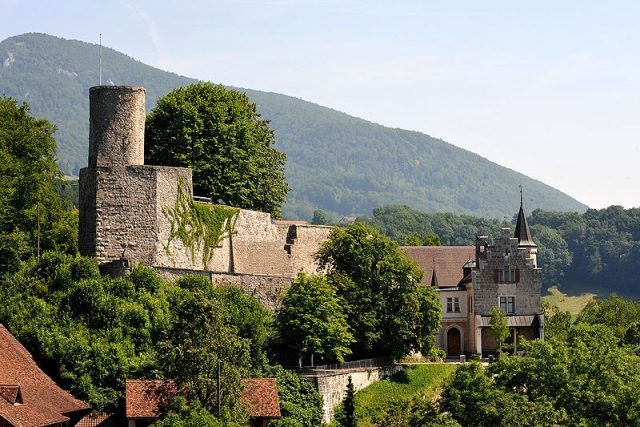 Bipp Castle (Oberbipp)