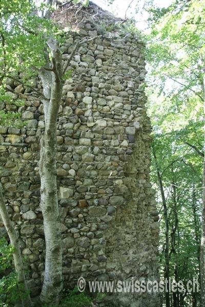 La Roche Castle (Ruin)
