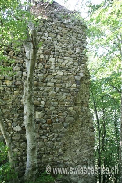 La Roche Castle (Ruin)