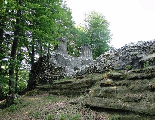 Grünenberg Castle (Ruin) (Melchnau)