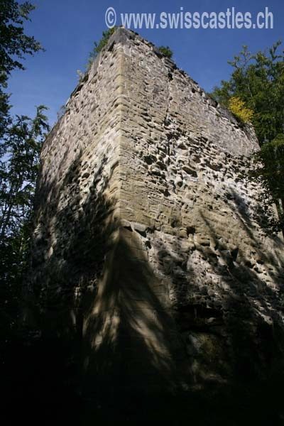 Maggenberg Castle (Ruin) (Tafers)