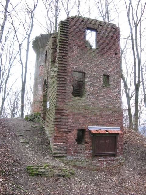 Allerburg Castle (Ruin) (Bockelnhagen)