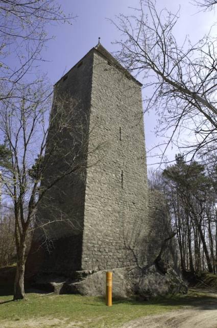 Moliere Castle (Ruin) (Murist)