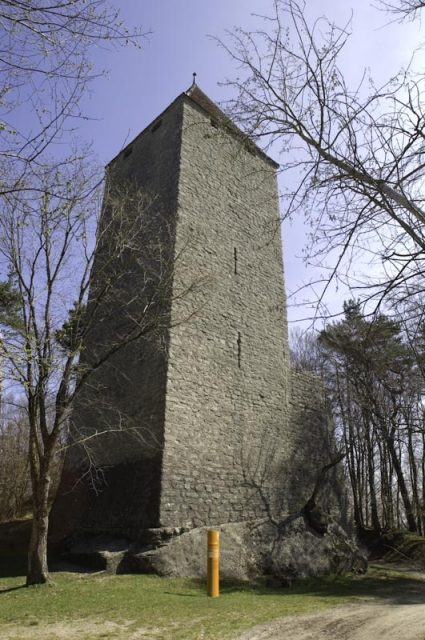 Moliere Castle (Ruin) (Murist)