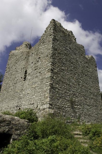 Montsalvens Castle (Ruin) (Broc)