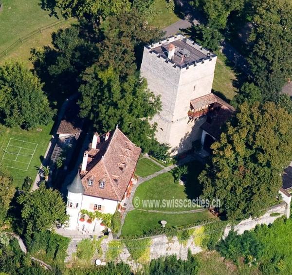 Petit Vivy Castle (Barberêche)