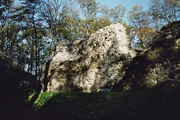 Rouelbeau Castle (Ruin) (Vésenaz)