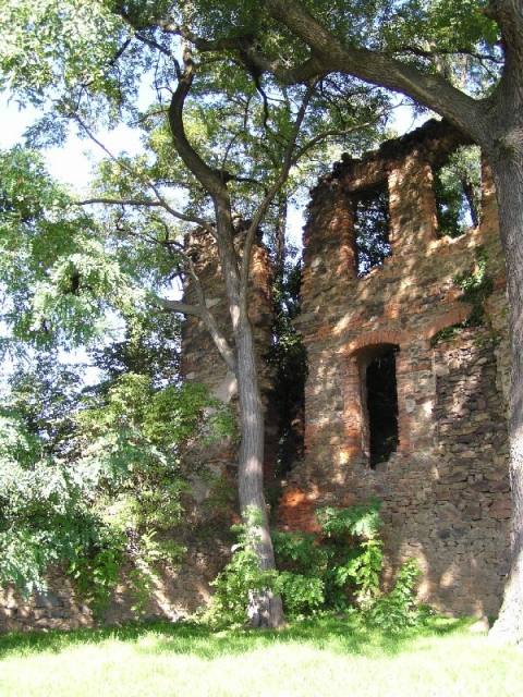 Ruine Nostitz