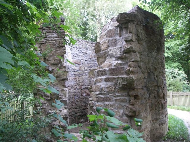 Ruine Wiesenburg