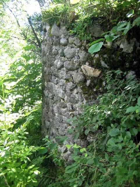 Friberg Castle (Ruin) (Trun)