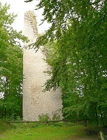 Burgruine Wohlenstein