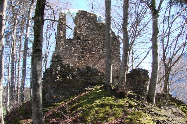Jagdburg Castle (Ruin) (Höfen)