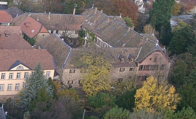 Deidesheim Castle