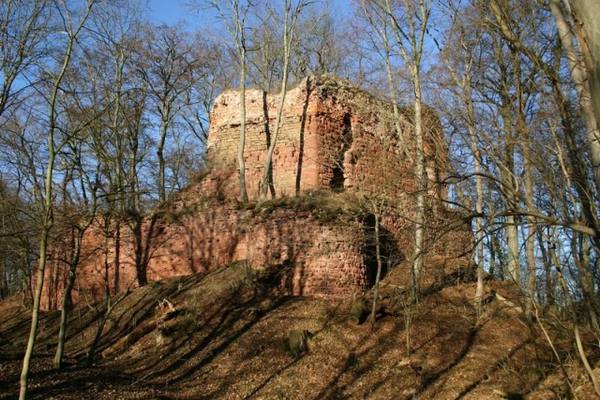 Grillenburg Castle (Ruin)