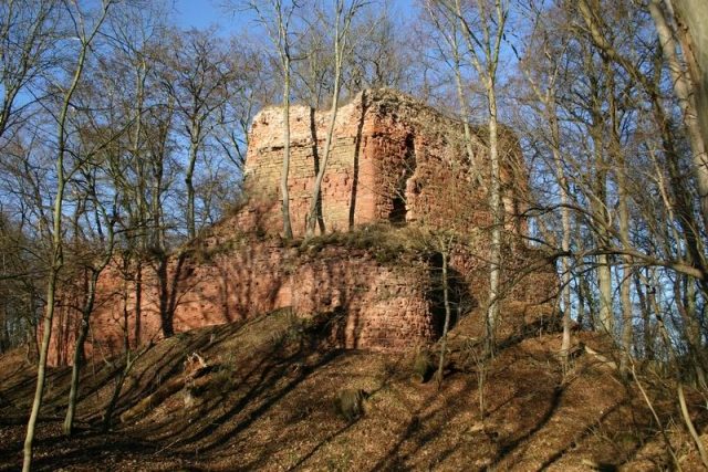 Grillenburg Castle (Ruin)