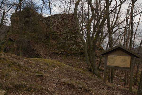 Burgruine Wildenstein