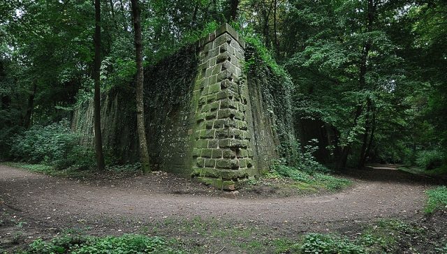 Fortress Landau