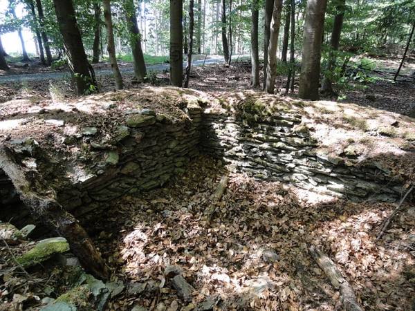 Roman Watchtower 3/21 (Eschenhahn)