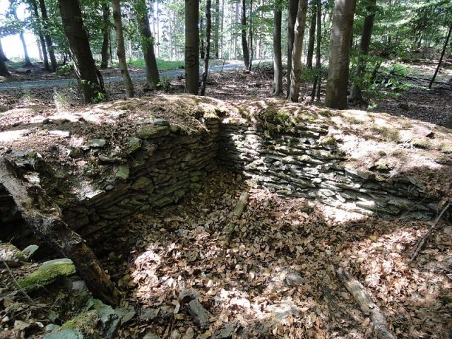 Roman Watchtower 3/21 (Eschenhahn)