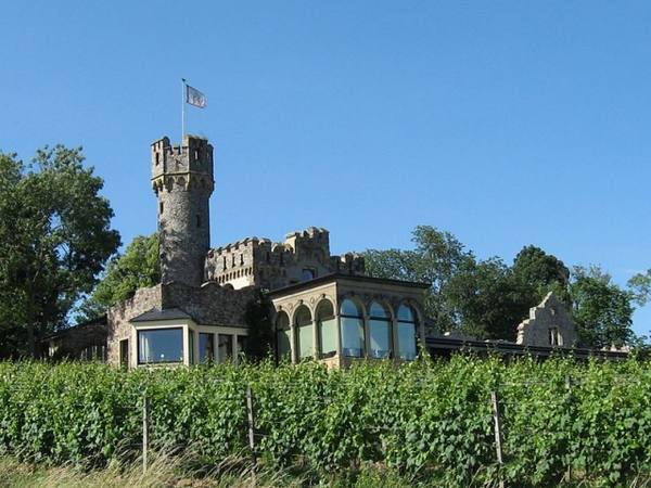 Schwarzenstein Castle