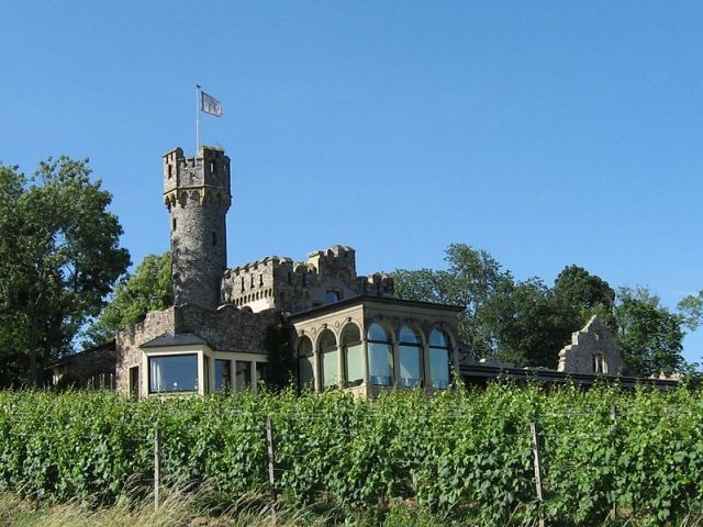 Schwarzenstein Castle