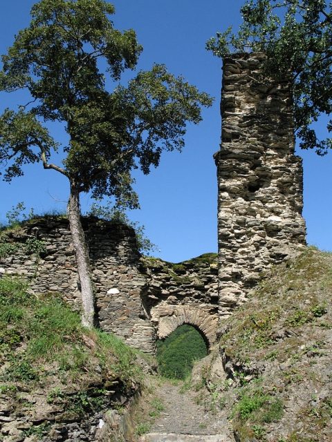 Waldeck Castle (Ruin) (Lorch)