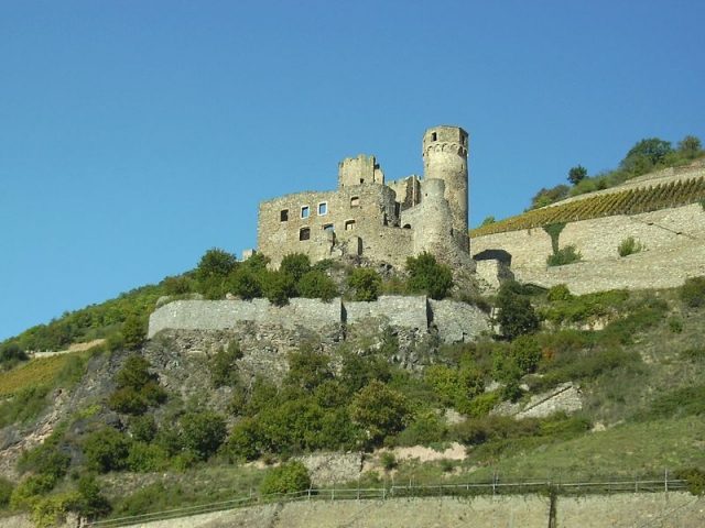 Ehrenfels Castle (Ruin) (Rüdesheim)
