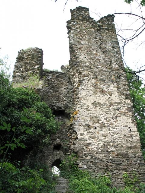 Rheinberg Castle (Ruin) (Lorch)