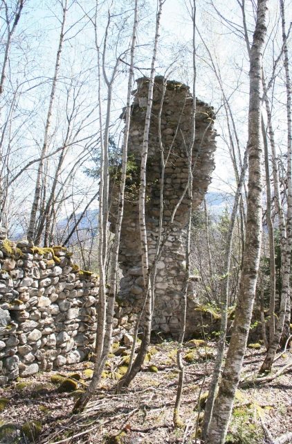 Grünenfels Castle (Ruin) (Waltensburg)