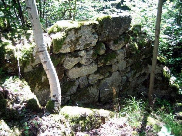 Heidenberg Castle (Ruin) (Obersaxen)