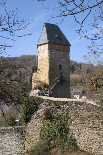 Ruine Frauenstein (Wiesbaden)