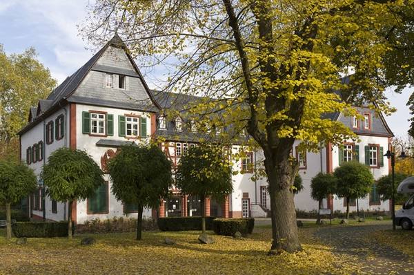 Altes Schloss (Büdesheim)