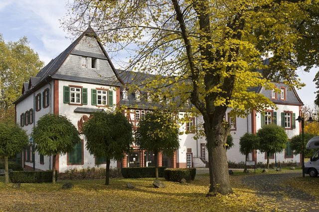 Altes Schloss (Büdesheim)