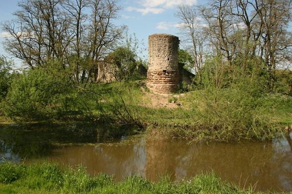 Dorfelden Castle (Ruin) (Niederdorfelden)
