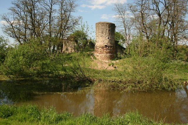 Dorfelden Castle (Ruin) (Niederdorfelden)