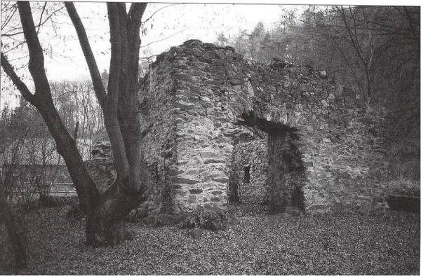 Hüttelngesäß Castle (Ruin) (Niedersteinbach)