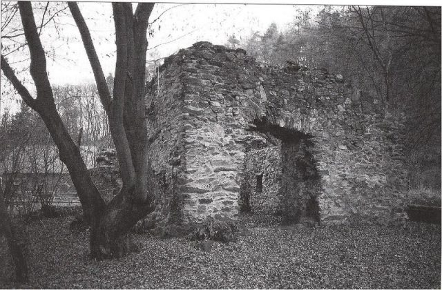 Hüttelngesäß Castle (Ruin) (Niedersteinbach)