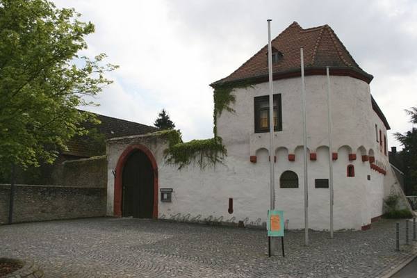 Burg Rückingen (Erlensee)