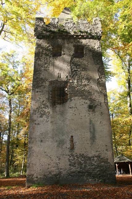 St. Wolfgang Abbey (Ruin) (Niederrodenbach)