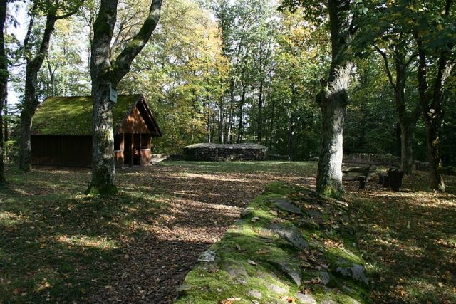Schnellerts Castle (Ruin) (Brensbach)