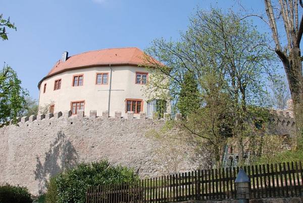 Reichenberg Castle (Reichelsheim)